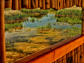 La programación de ‘Capvespres a La Casa Penya’ continúa con el Taller de fotografía de paisaje