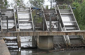 La Consellería de Agricultura, Medio Ambiente, Cambio Climático y Desarrollo Rural ha iniciado las obras de la Gola de Quartell