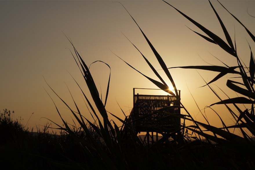 Éxito de participación en la quinta edición de los Atardeceres en La Casa Penya